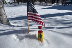 Bundesstaat-Michigan