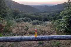 Podere-Bagnoli-Castagneto-Carducci