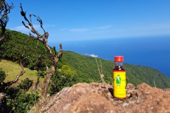 Posto-Florestal-do-Fanal